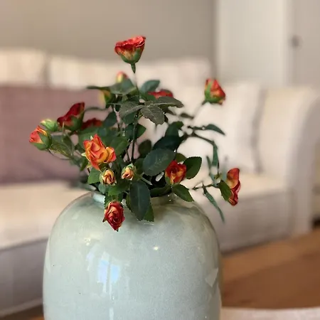 Sonnenblume Lägenhet Baabe